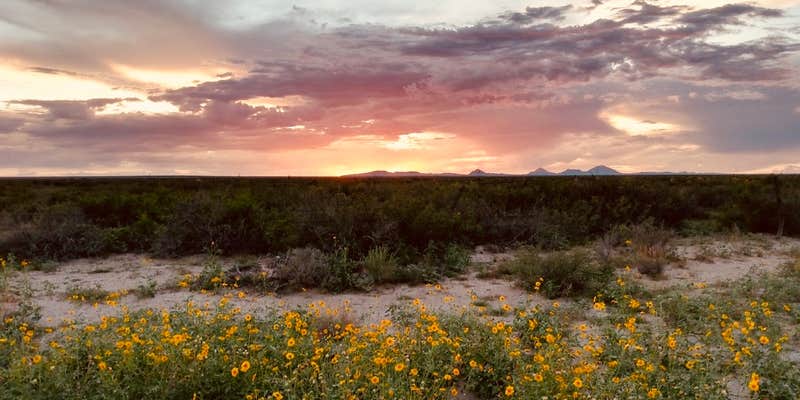 Camper submitted image from The Radcliffe Family Homestead