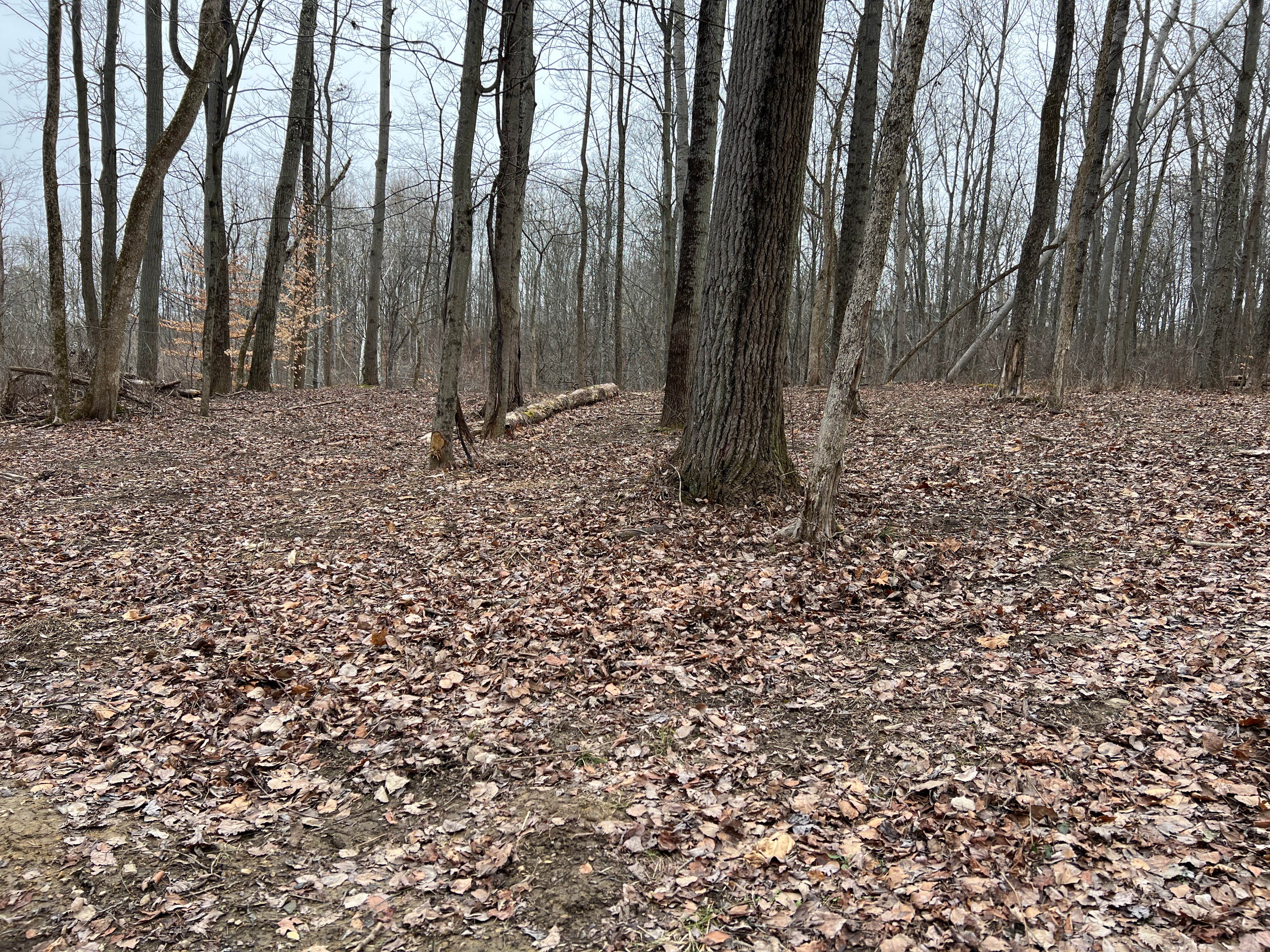 Camper-submitted photo at The Coal-Mine near Lockbourne, OH