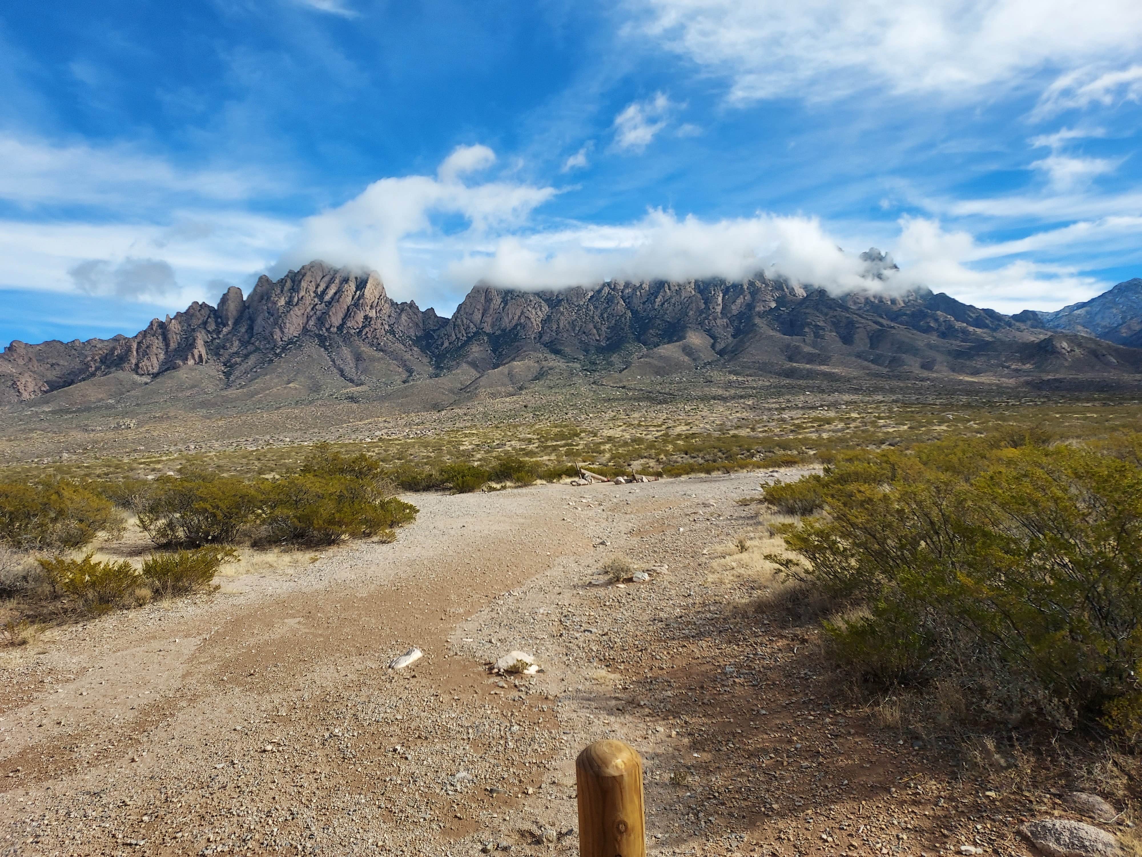 Camper-submitted photo at Organ Mountain  Area Dispersed near Doña Ana, NM