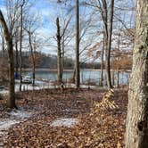 Review photo of TVA Public Land- Fork Bend  by Andy K., January 2, 2023