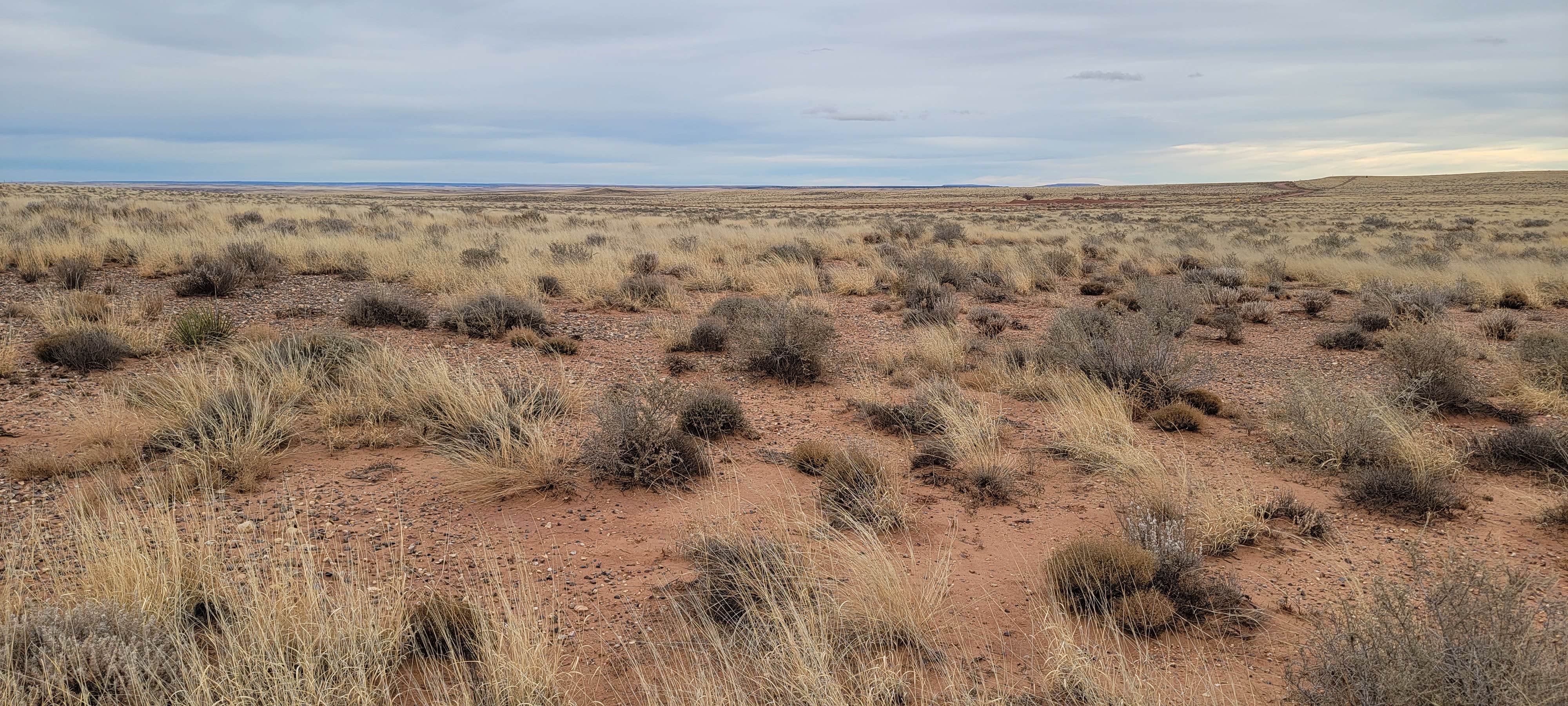 Camping near Snowflake Arizona RV Park: Sky Ranch, Woodruff, Arizona