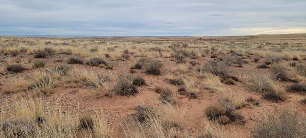 Sky Ranch Camping | Woodruff, Arizona