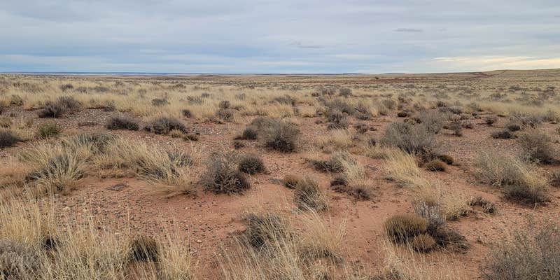 Camper submitted image from Sky Ranch