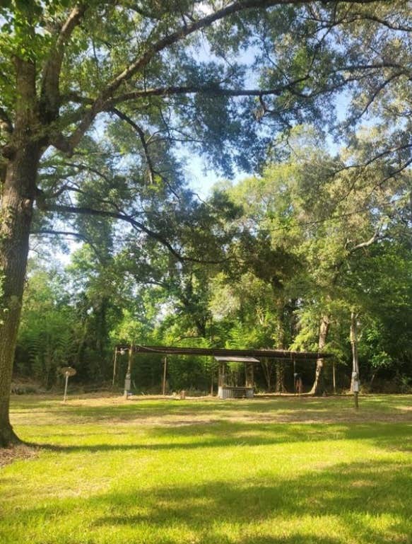 Camper-submitted photo at Liz's Lazy Creek near New Caney, TX