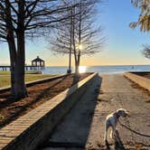 Review photo of Fontainebleau State Park Campground by Zachary H., January 3, 2023