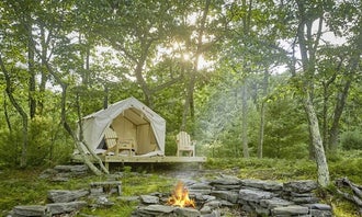 Camping near Orchard Tent 3: Osa Trail, Kerhonkson, New York
