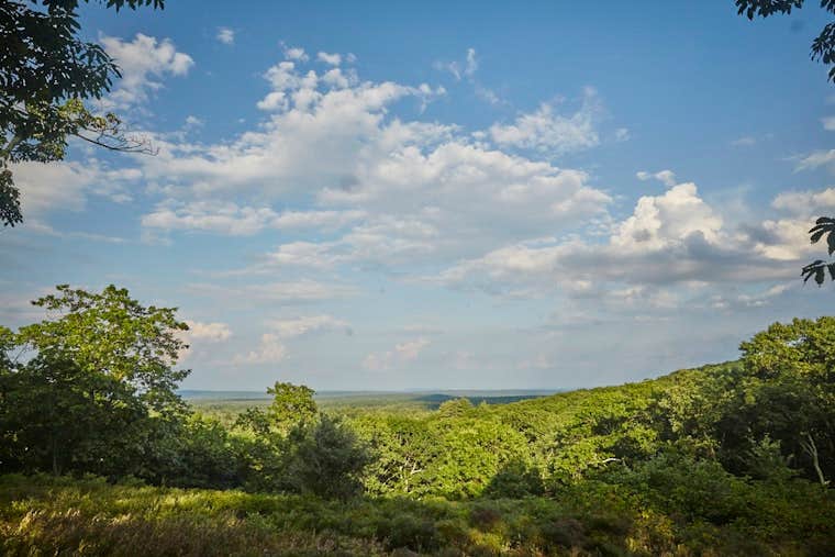 Camper-submitted photo at Osa Trail near Kerhonkson, NY
