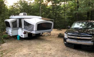 Bill K.'s photo of rv camping at Gilson Pond Area Campground — Monadnock State Park near Williamsville, VT