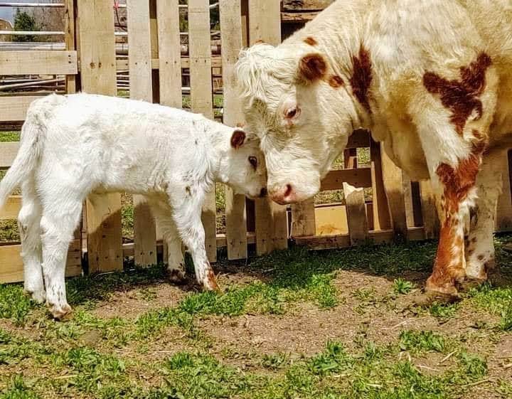 Camper-submitted photo at Tuff's Ranch near Deer Trail, CO