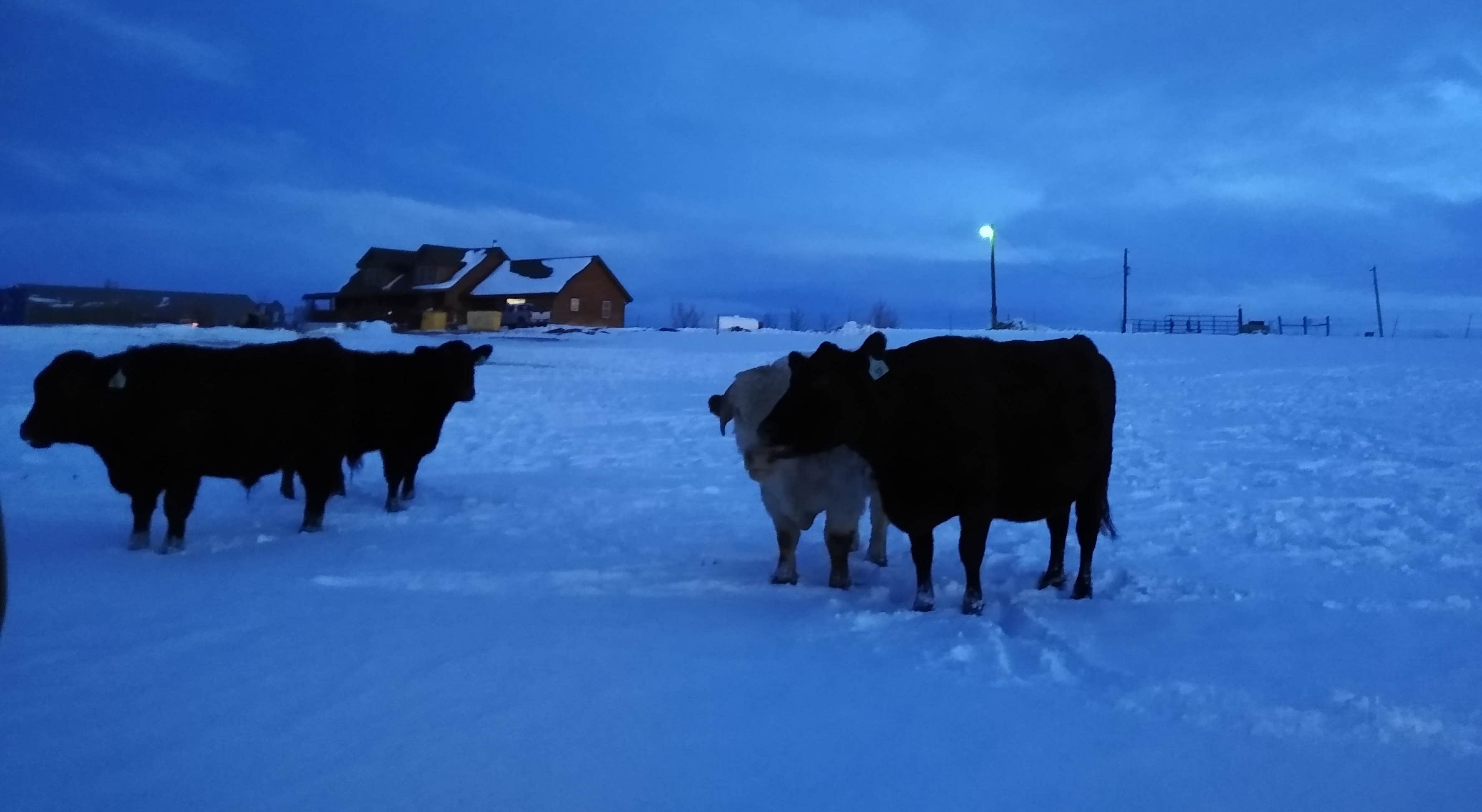 Camper-submitted photo at Tuff's Ranch near Deer Trail, CO
