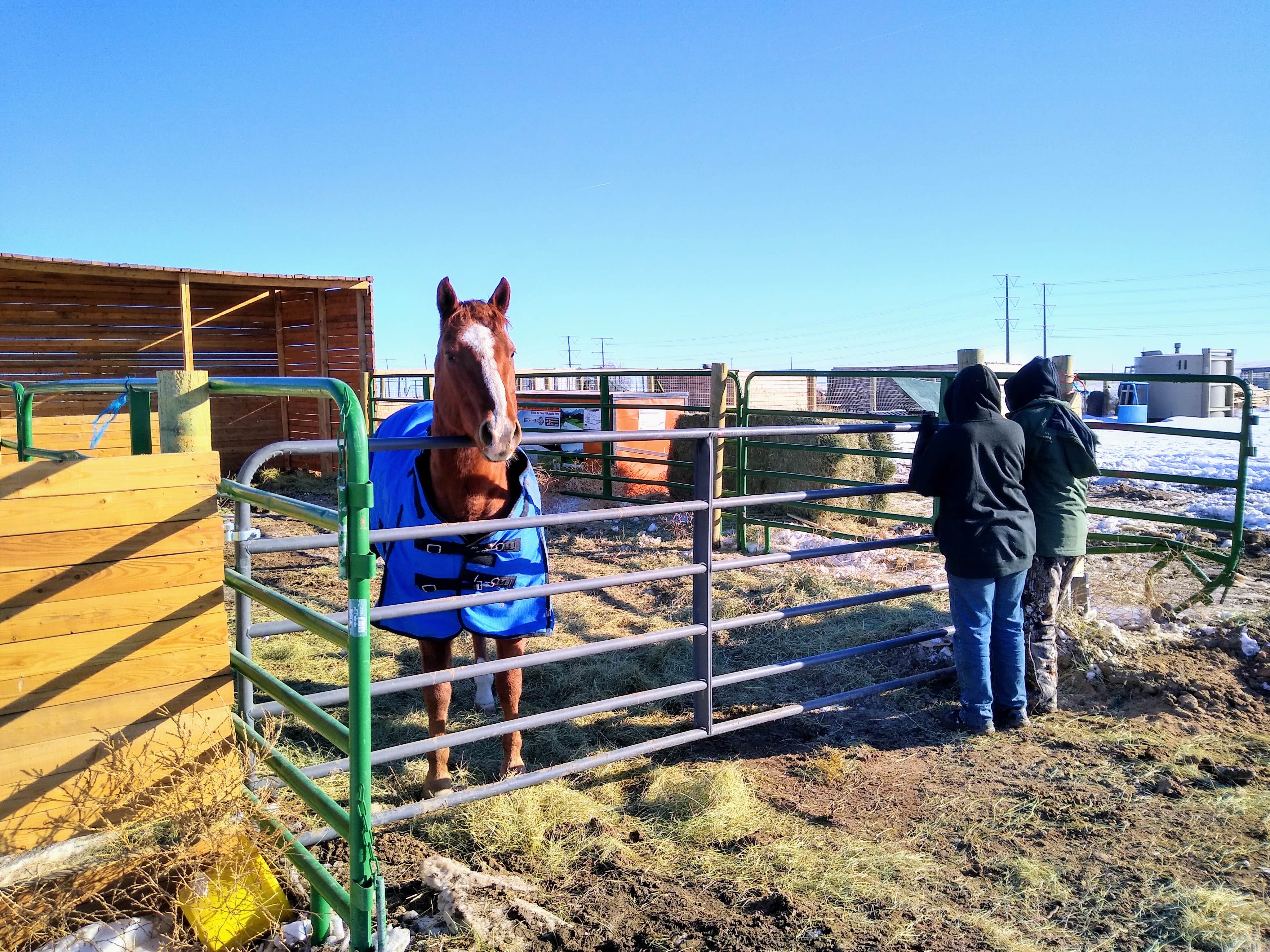 Camper-submitted photo at Tuff's Ranch near Deer Trail, CO