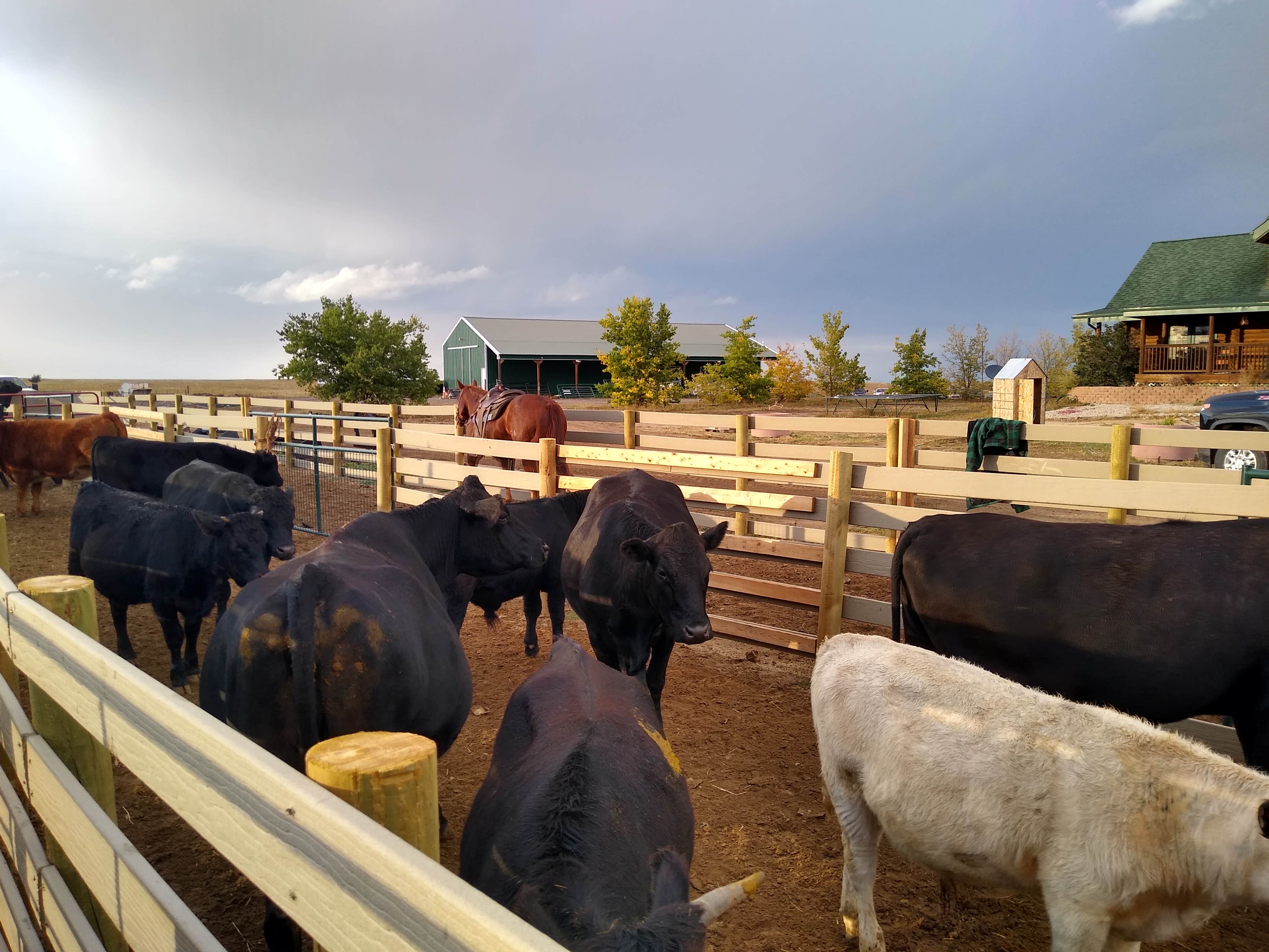 Camper-submitted photo at Tuff's Ranch near Deer Trail, CO