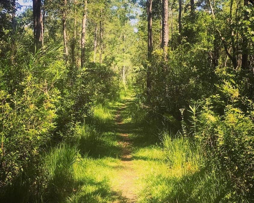Camper-submitted photo at Halfway Creek Primitive Camping - TEMPORARILY CLOSED near Drayton, SC