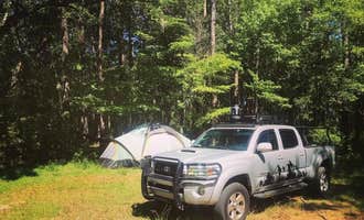 Camping near Foster Creek RV Park and Villas: Halfway Creek Primitive Camping - TEMPORARILY CLOSED, Folly Beach, South Carolina