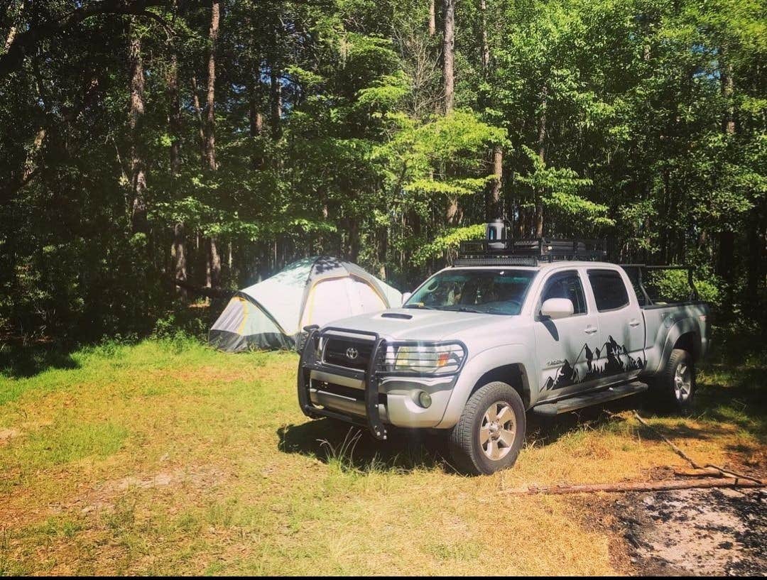 Camper submitted image from Halfway Creek Primitive Camping - TEMPORARILY CLOSED - 1