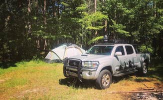 Ethan B.'s photo at Halfway Creek Primitive Camping - TEMPORARILY CLOSED near Bonneau, SC