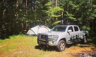 Camping near Buck Hall Recreation Area: Halfway Creek Primitive Camping - TEMPORARILY CLOSED, Folly Beach, South Carolina