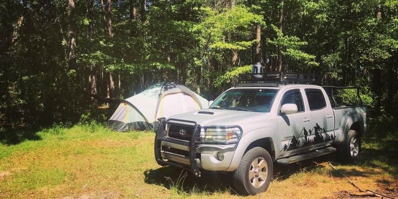 Camper submitted image from Halfway Creek Primitive Camping - TEMPORARILY CLOSED