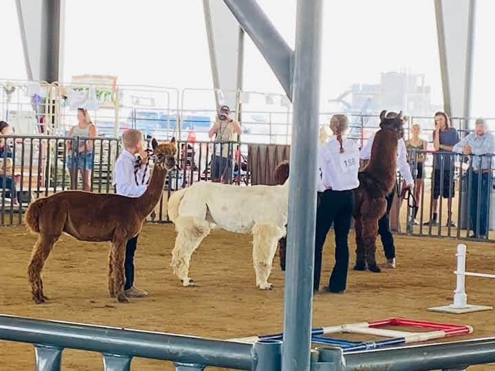 Tuff's Ranch   .'s photo of camping with pets at Tuff's Ranch near Parker, CO