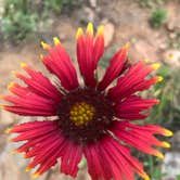 Review photo of Inks Lake State Park Campground by Andrea S., September 5, 2018