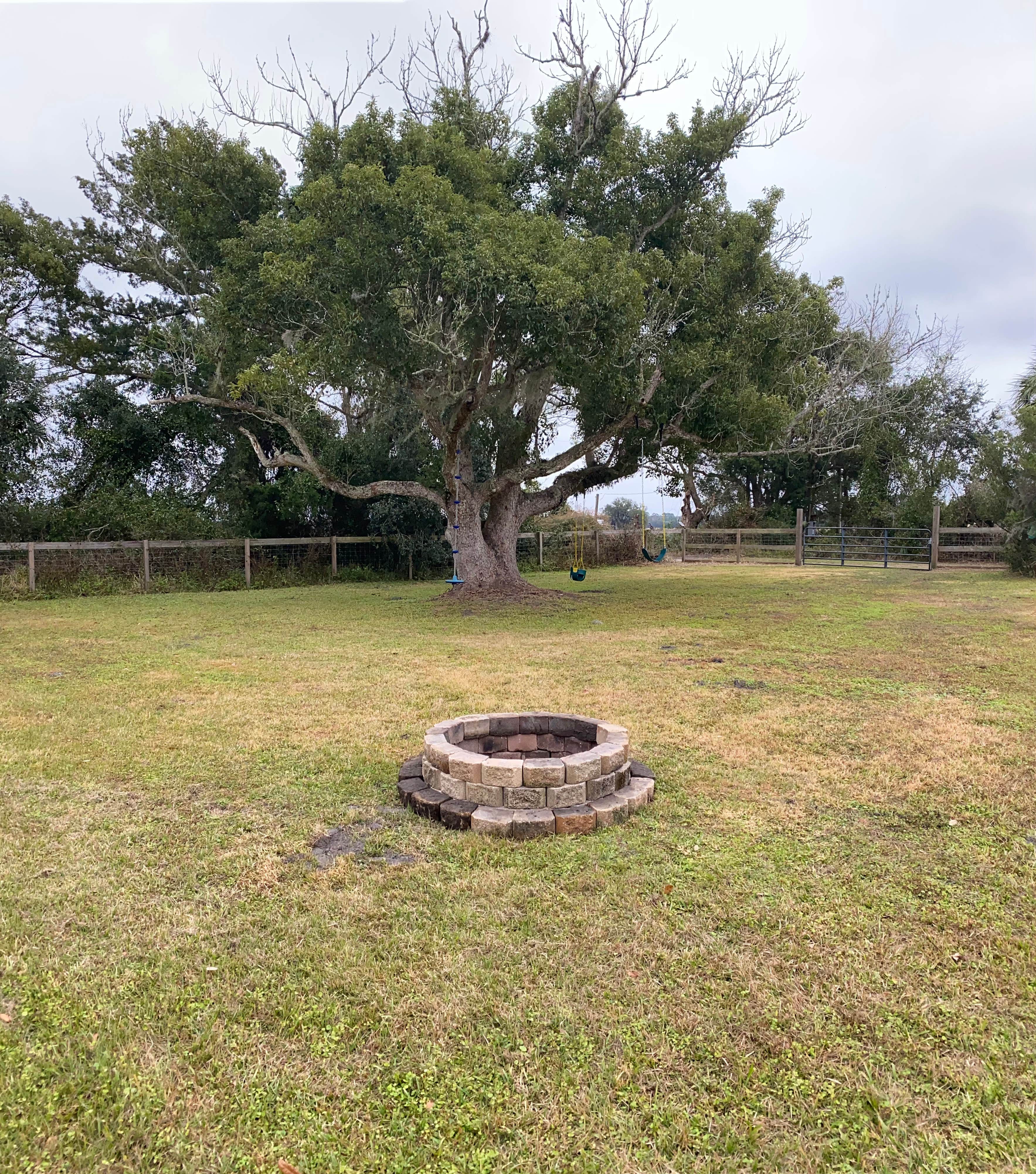 Camper-submitted photo at Celestial Acres near San Mateo, FL