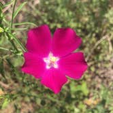 Review photo of Inks Lake State Park Campground by Andrea S., September 5, 2018