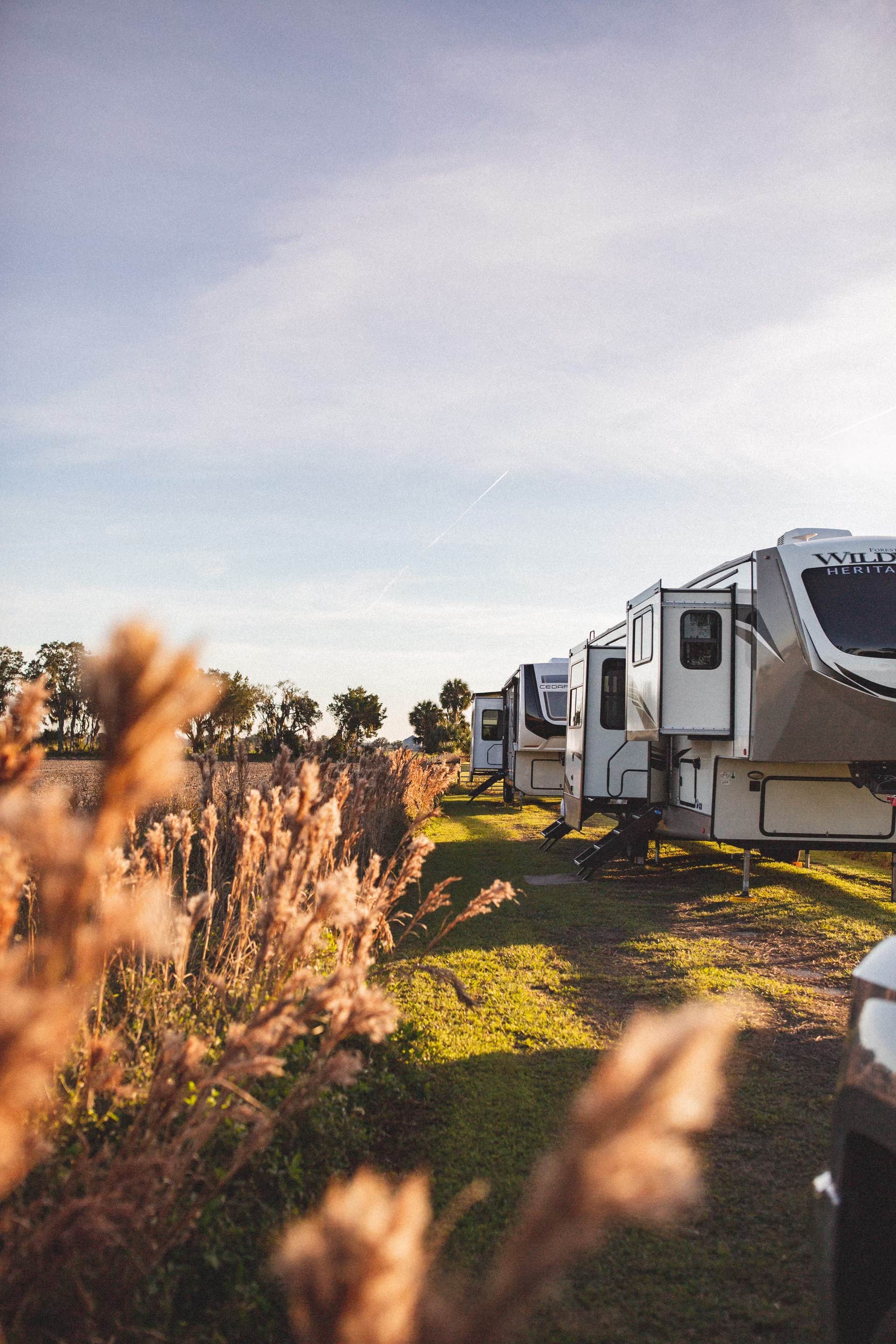 Jen S.'s photo at Celestial Acres near San Mateo, FL