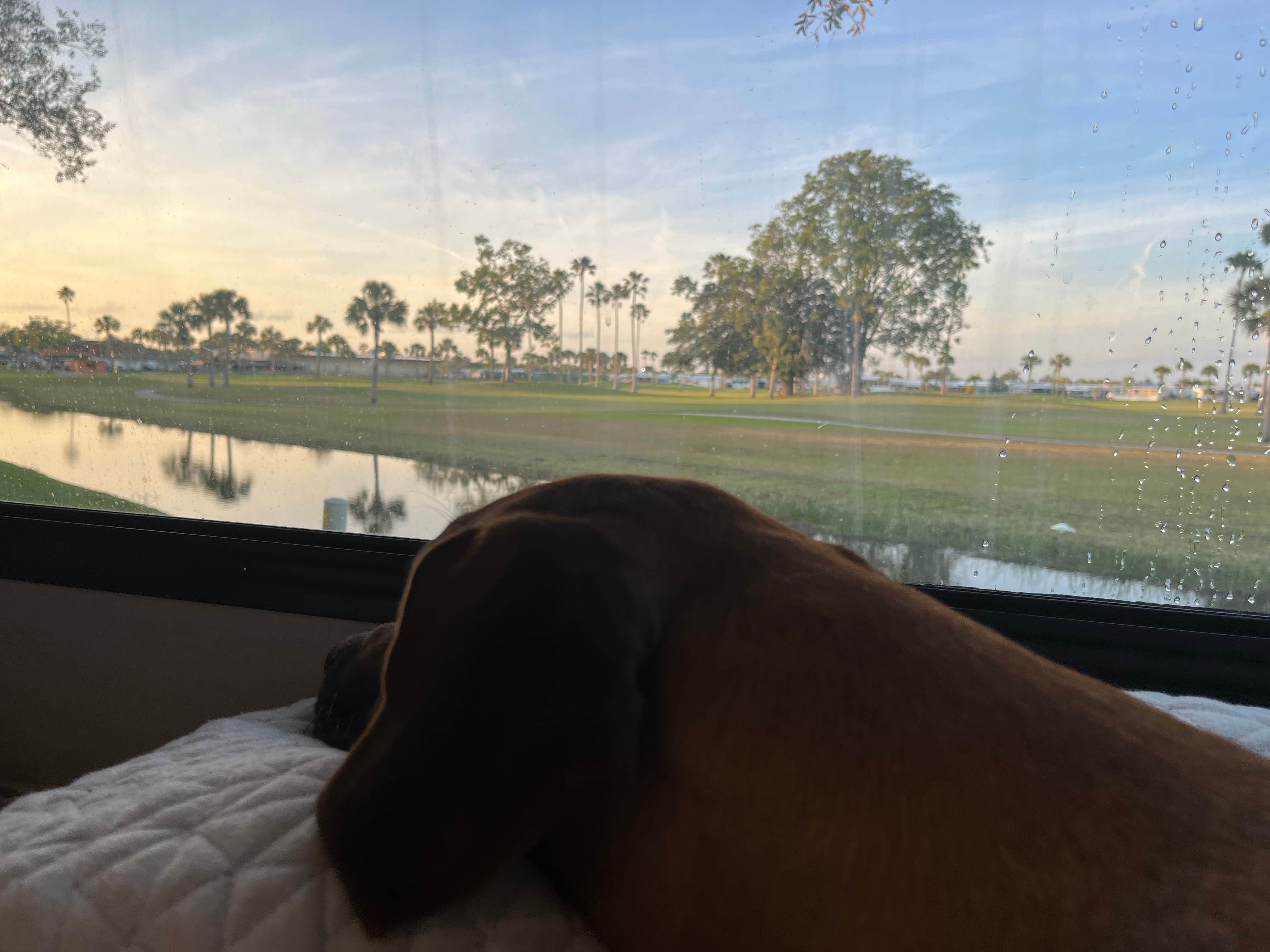 Camper-submitted photo at KOA Campground Okeechobee near Port St. Lucie, FL