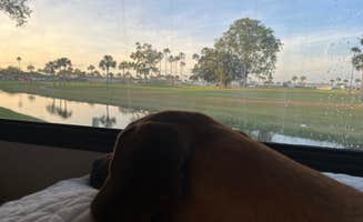 Jennifer R.'s photo of camping with pets at KOA Campground Okeechobee near Lake Okeechobee