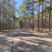Review photo of A. H. Stephens State Park by jojo , January 4, 2023