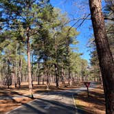 Review photo of A. H. Stephens State Park Campground by jojo , January 4, 2023