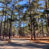 Review photo of A. H. Stephens State Park Campground by jojo , January 4, 2023