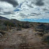 Review photo of Baylor Canyon Rd Spur, BLM, Free by Noah E., January 4, 2023