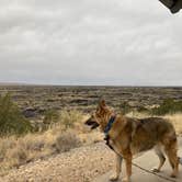 Review photo of Valley Of Fires Recreation Area by cal K., January 4, 2023