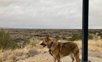 cal K.'s photo of camping with pets at Valley Of Fires Recreation Area near Corona, NM