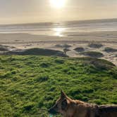 Review photo of Morro Strand State Beach Campground by cal K., January 4, 2023
