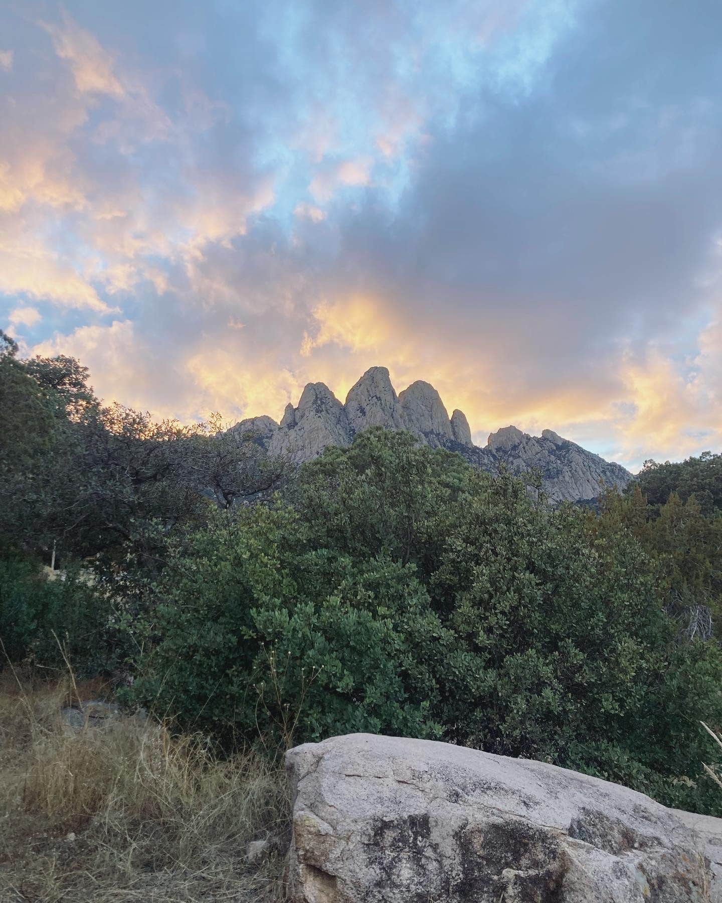 Camper-submitted photo at Aquirre Springs Campground near Corona, NM