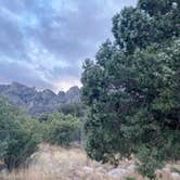 Review photo of Aquirre Springs Campground by cal K., January 4, 2023