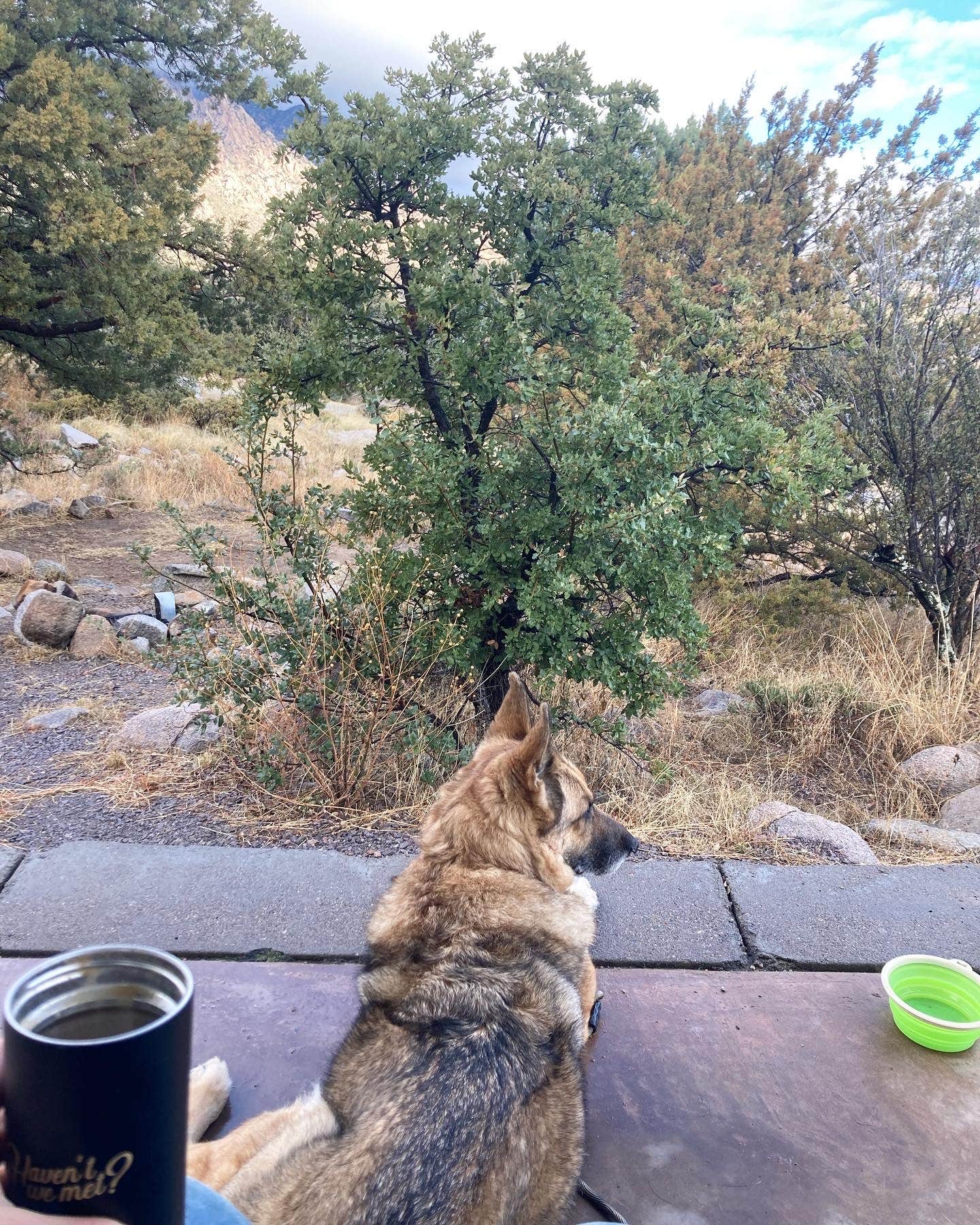 cal K.'s photo of camping with pets at Aquirre Springs Campground near Cibola National Forest and National Grasslands