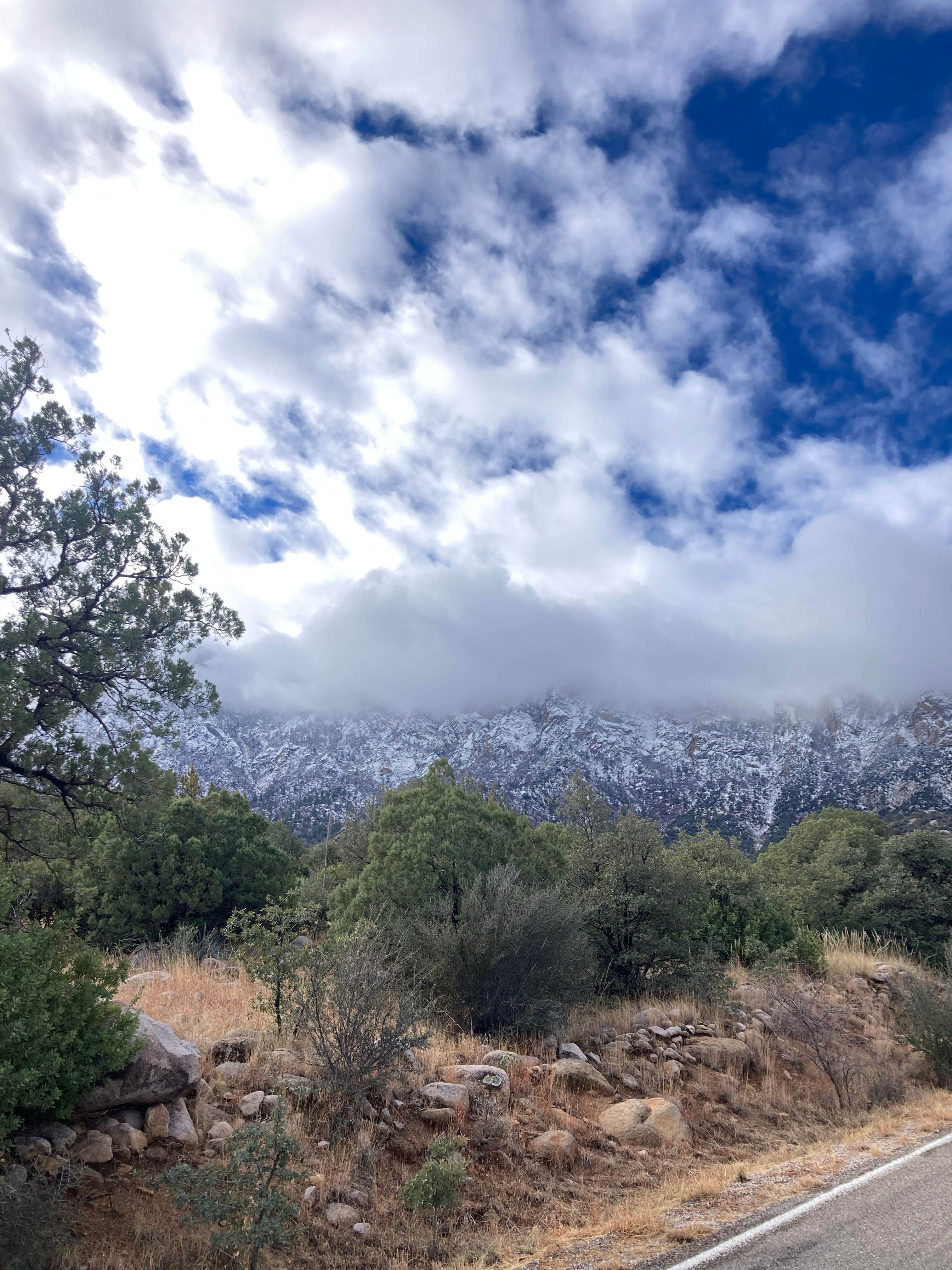 Camper submitted image from Aquirre Springs Campground - 4