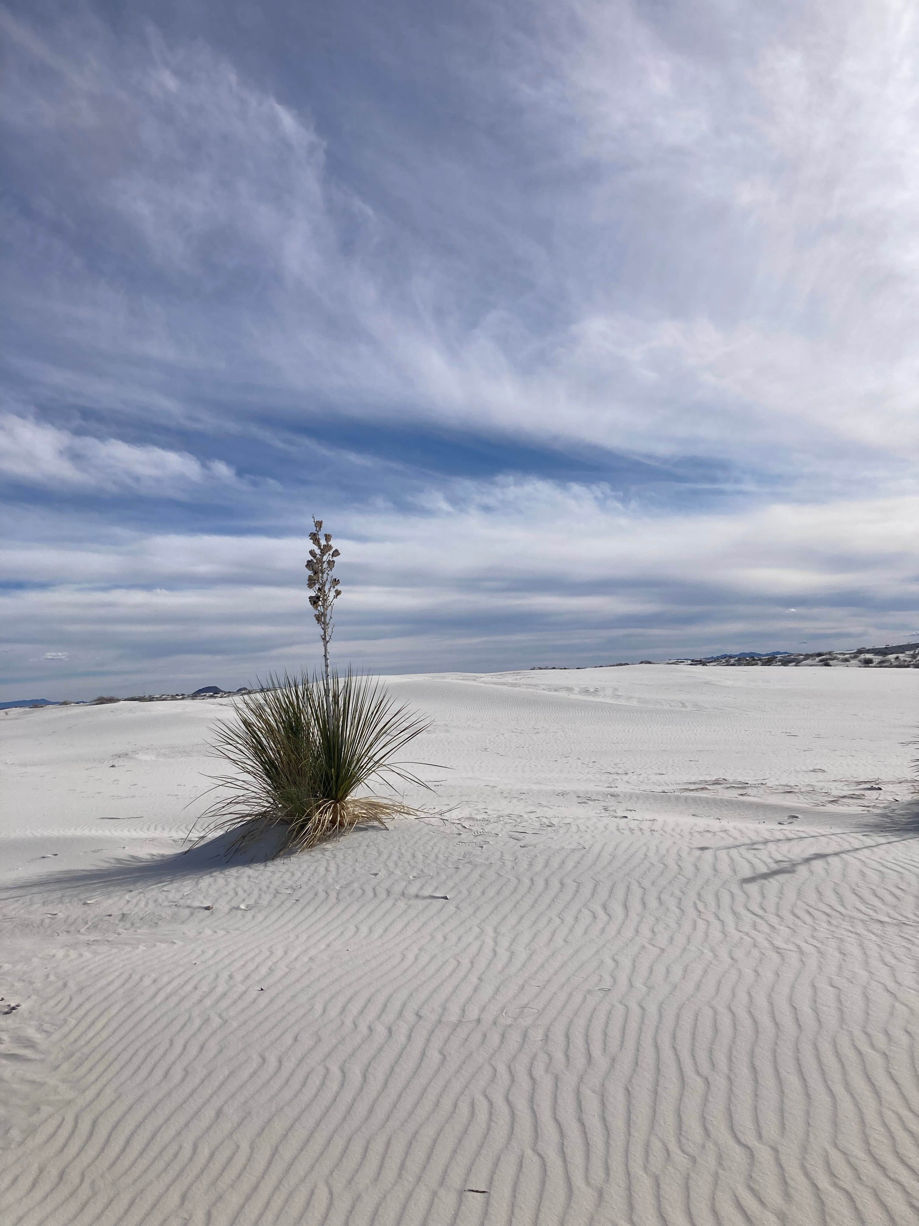 Camper-submitted photo at Aquirre Springs Campground near Carrizozo, NM