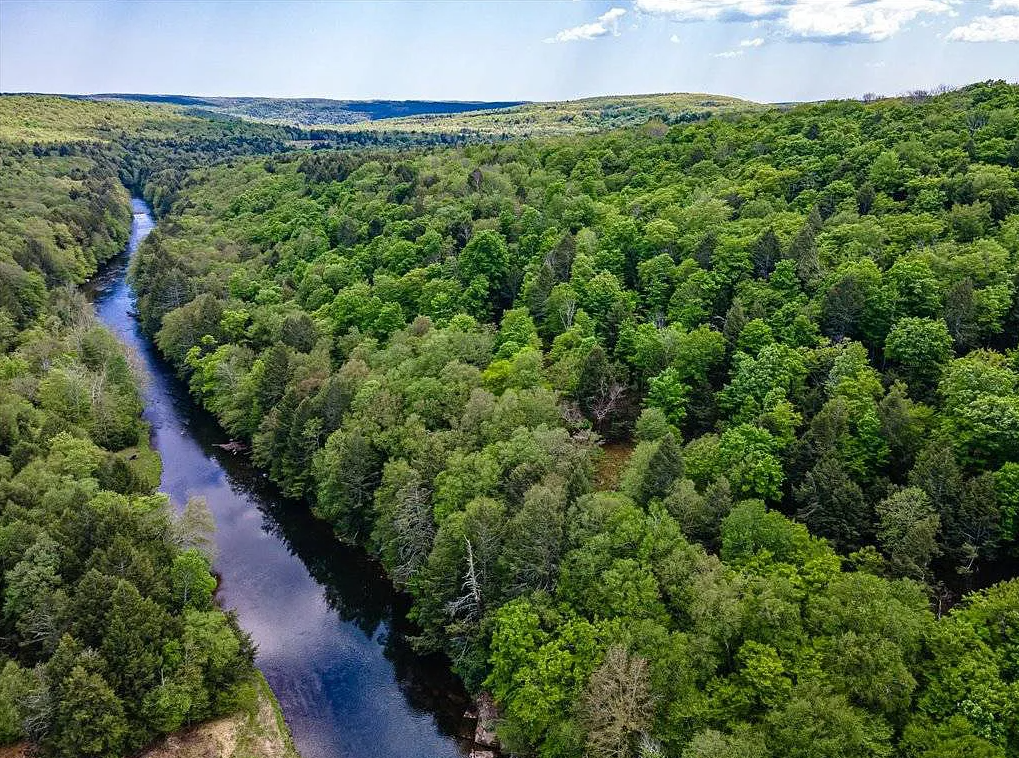 Camper-submitted photo at Never Sink Hideaway near Monticello, NY