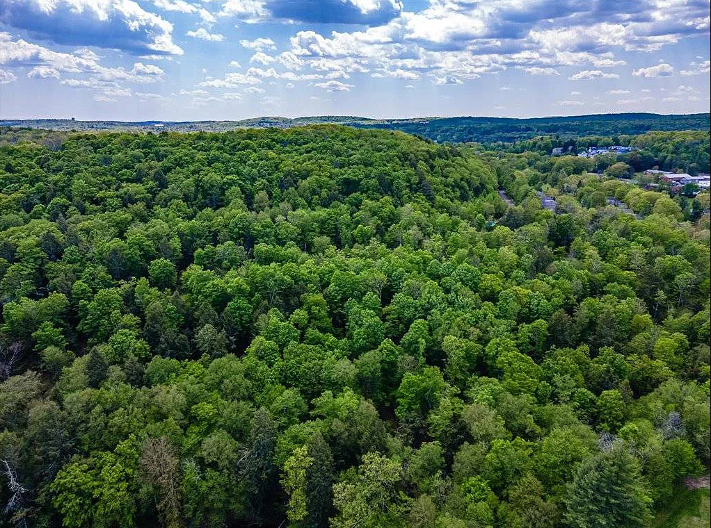 Camper-submitted photo at Never Sink Hideaway near Monticello, NY