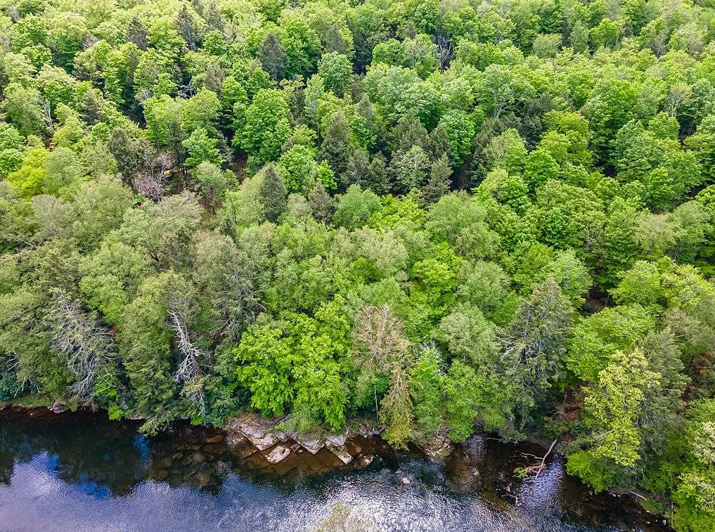 Camper-submitted photo at Never Sink Hideaway near Monticello, NY