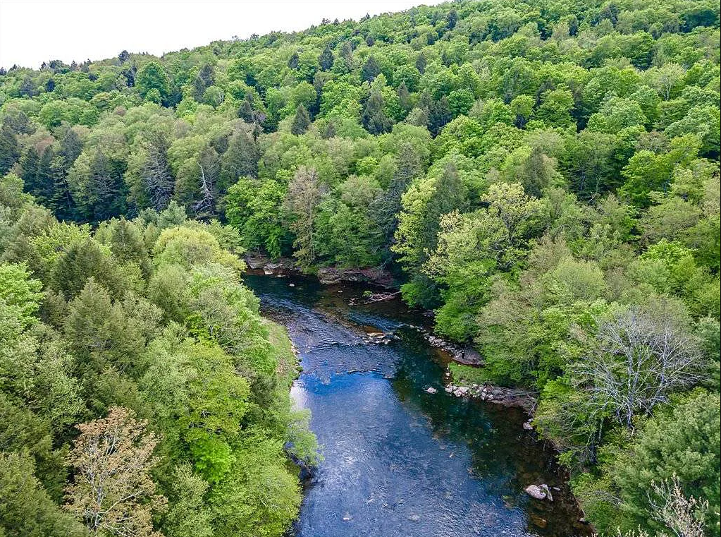 Camper-submitted photo at Never Sink Hideaway near Monticello, NY