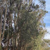 Review photo of Morro Bay State Park Campground by Stephanie , January 5, 2023