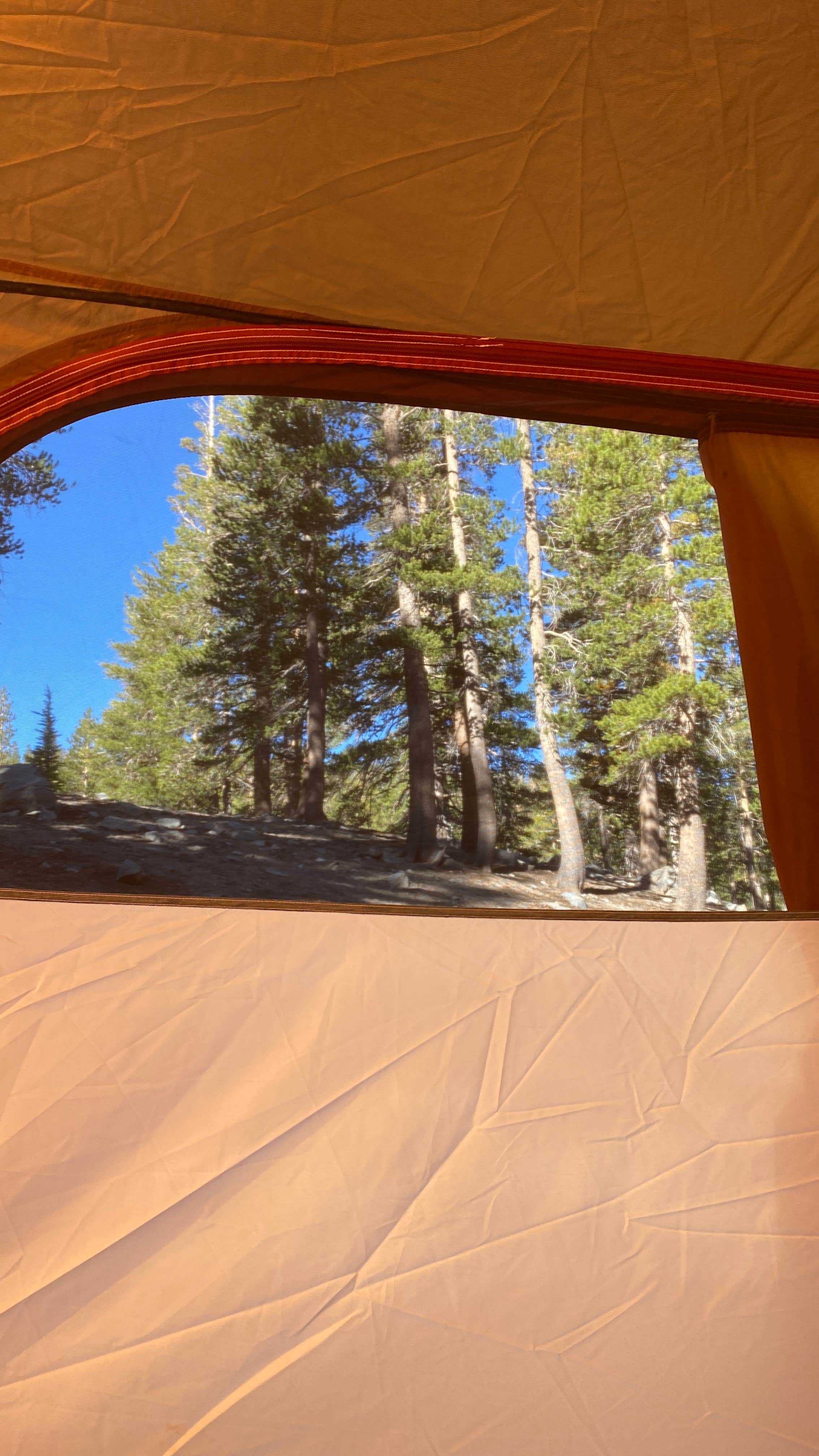 Stephanie's photo at Coldwater Campground near Inyo National Forest