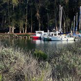Review photo of Morro Bay State Park Campground by Stephanie , January 5, 2023