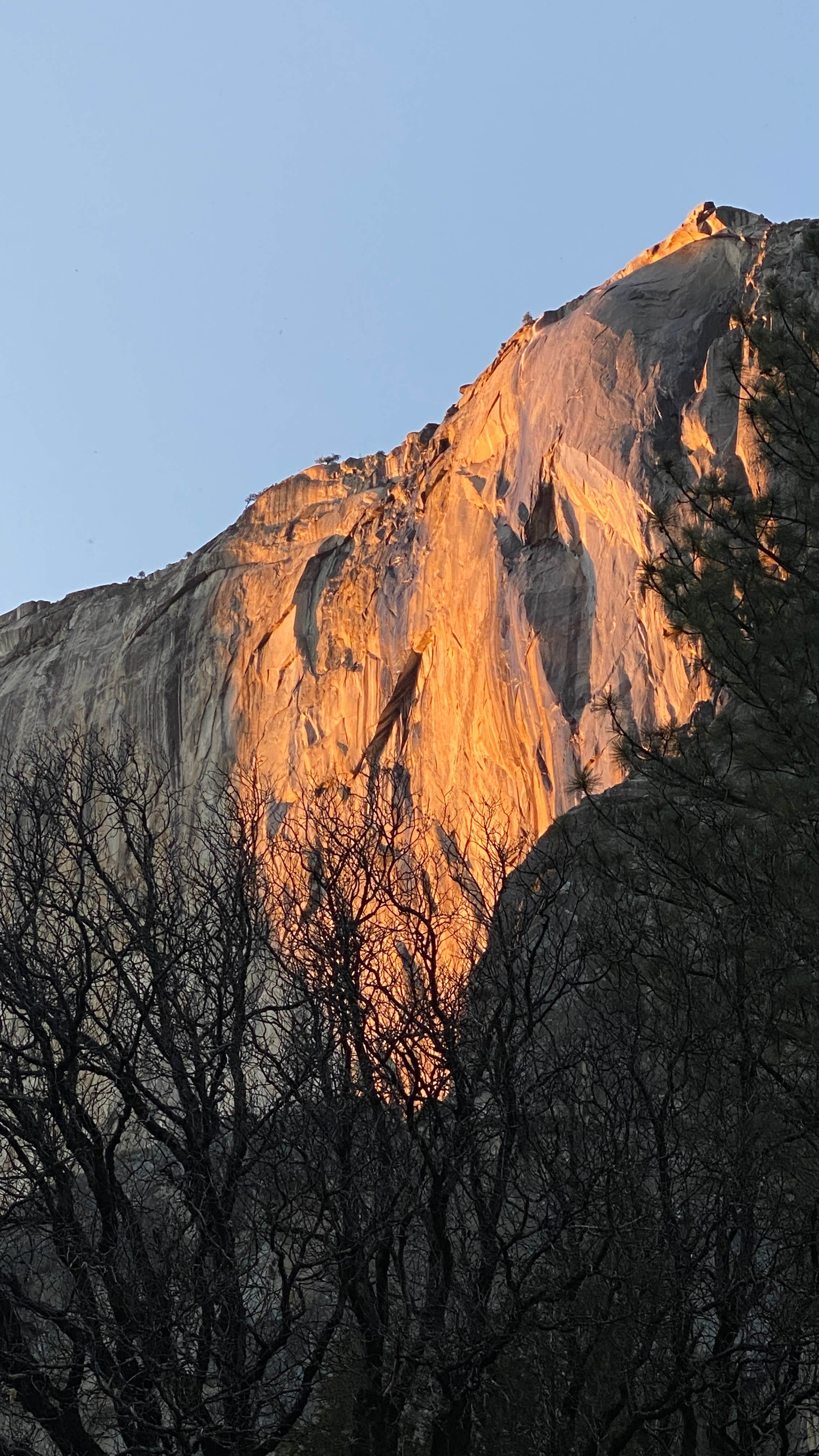 Camping near Mariposa Fairgrounds: AutoCamp Yosemite, Midpines, California