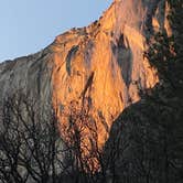 Review photo of AutoCamp Yosemite by Stephanie , January 5, 2023